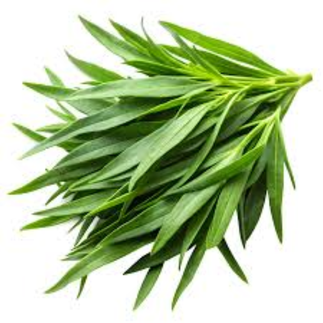 FRESH TERAGONE